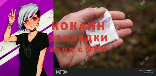 шишки Кулебаки
