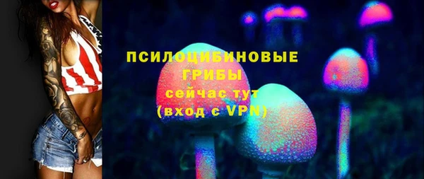 гидра Кукмор