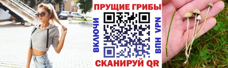 цена наркотик  Лакинск  Псилоцибиновые грибы ЛСД 